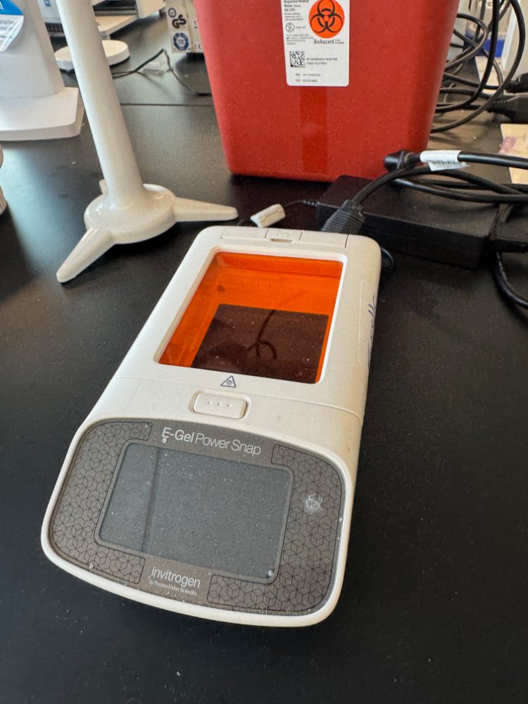 Image of Invitrogen E-Gel Power Snap Electrophoresis Device